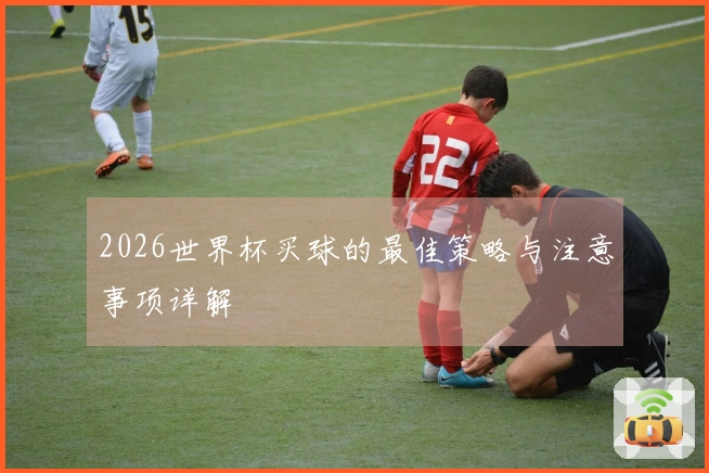 2026世界杯买球的最佳策略与注意事项详解