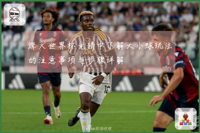 烽火世界杯竞猜中了解大小球玩法的注意事项与步骤详解