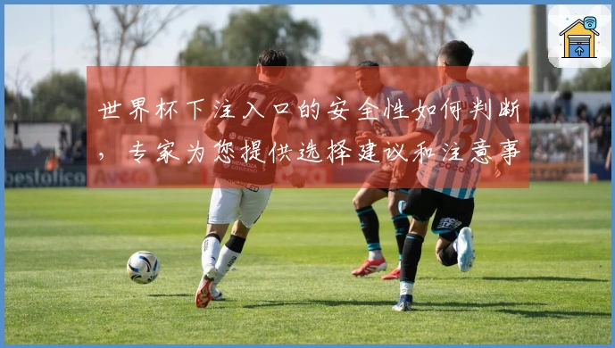 世界杯下注入口的安全性如何判断，专家为您提供选择建议和注意事项