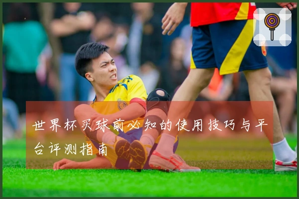 世界杯买球前必知的使用技巧与平台评测指南