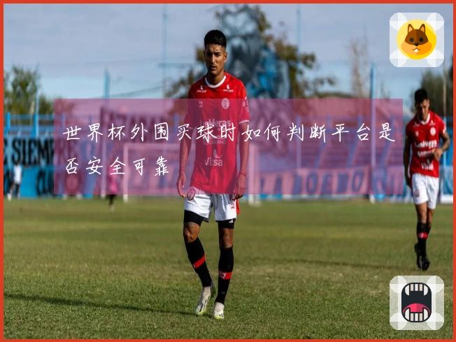 世界杯外围买球时如何判断平台是否安全可靠