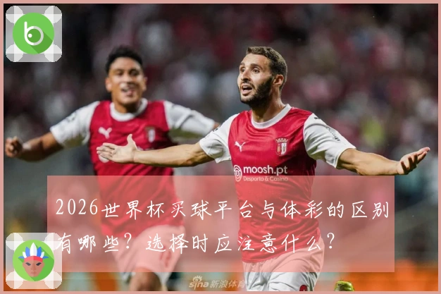 2026世界杯买球平台与体彩的区别有哪些？选择时应注意什么？