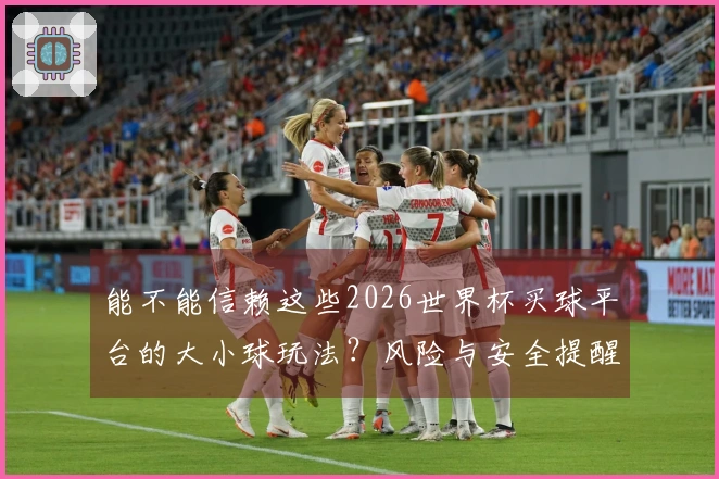 能不能信赖这些2026世界杯买球平台的大小球玩法?风险与安全提醒解析