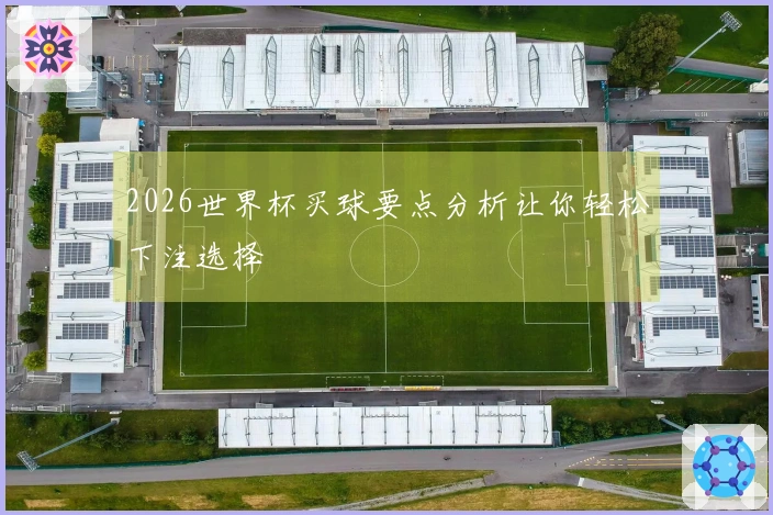 2026世界杯买球要点分析让你轻松下注选择