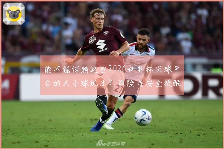 能不能信赖这些2026世界杯买球平台的大小球玩法？风险与安全提醒解析