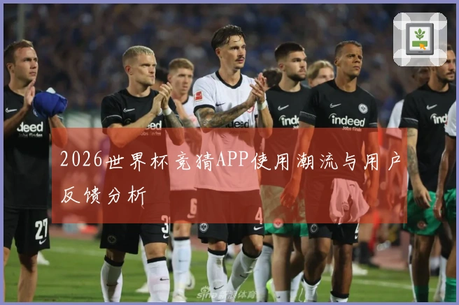 2026世界杯竞猜APP使用潮流与用户反馈分析