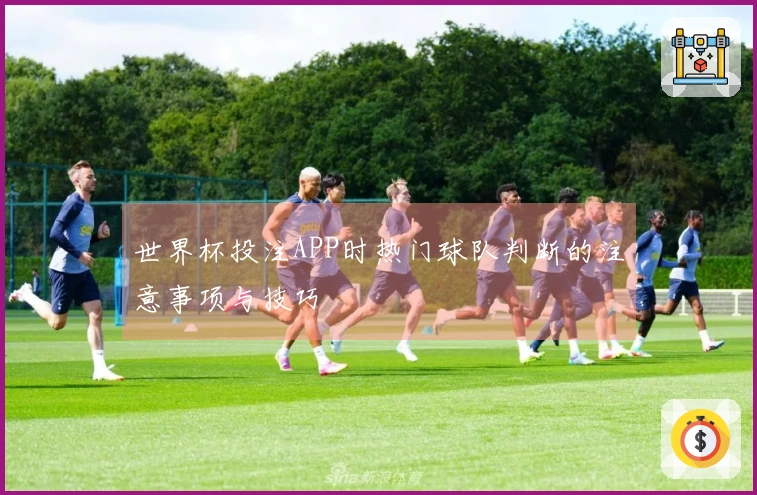 世界杯投注APP时热门球队判断的注意事项与技巧