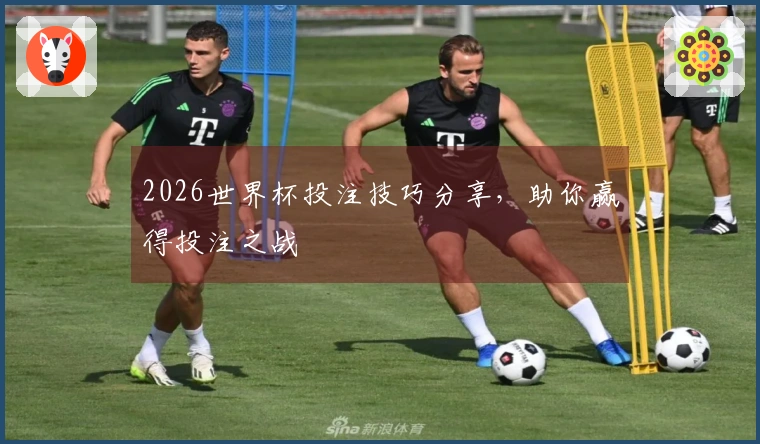 2026世界杯投注技巧分享，助你赢得投注之战