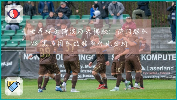 世界杯竞猜技巧大揭秘：热门球队 vs 黑马团队的赔率对比分析