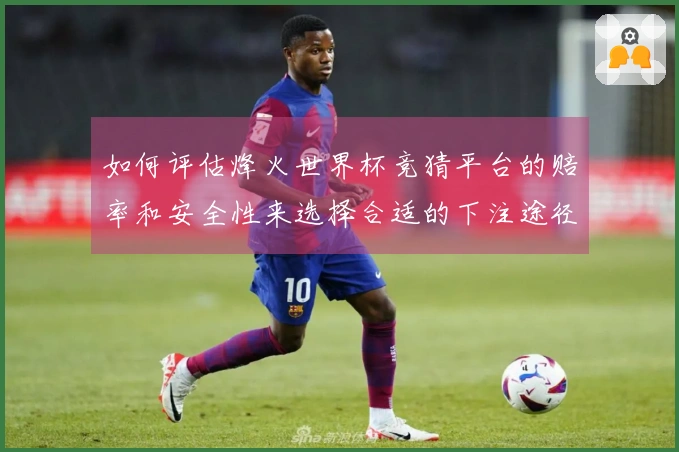 如何评估烽火世界杯竞猜平台的赔率和安全性来选择合适的下注途径