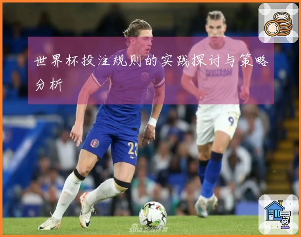 世界杯投注规则的实践探讨与策略分析