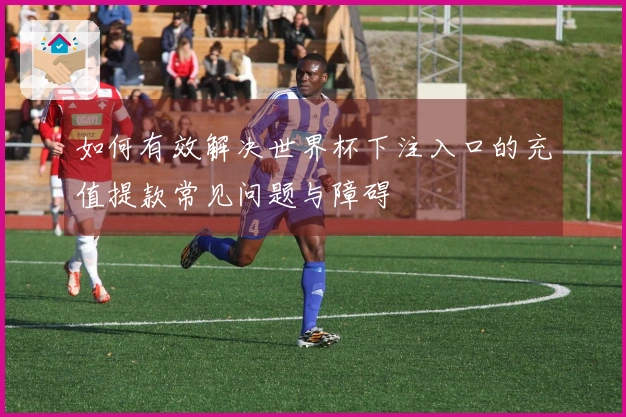 如何有效解决世界杯下注入口的充值提款常见问题与障碍