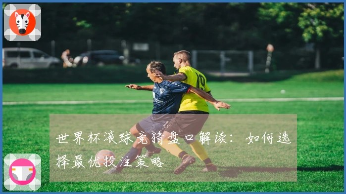 世界杯滚球竞猜盘口解读：如何选择最优投注策略