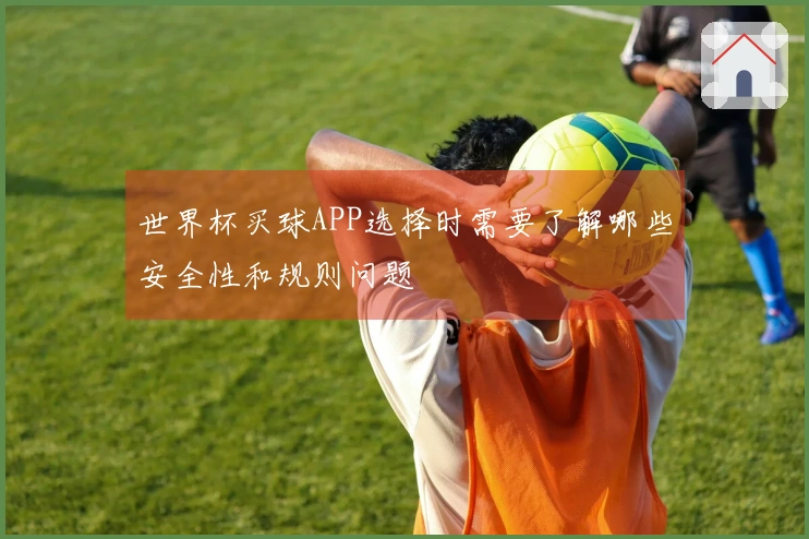 世界杯买球APP选择时需要了解哪些安全性和规则问题