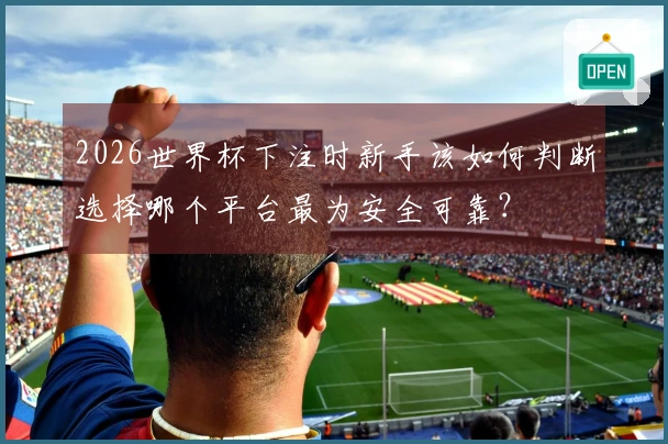 2026世界杯下注时新手该如何判断选择哪个平台最为安全可靠？