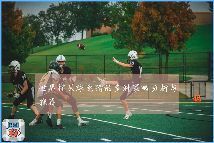世界杯买球竞猜的多种策略分析与推荐