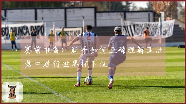 赛前准备：新手如何正确理解亚洲盘口进行世界杯下注