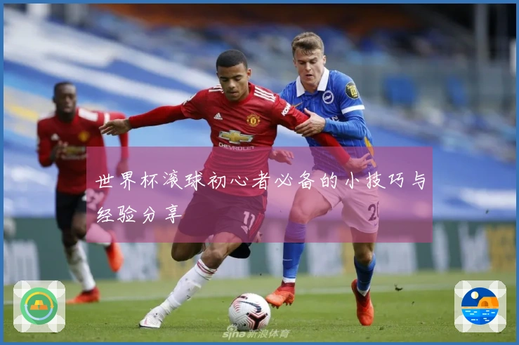 世界杯滚球初心者必备的小技巧与经验分享