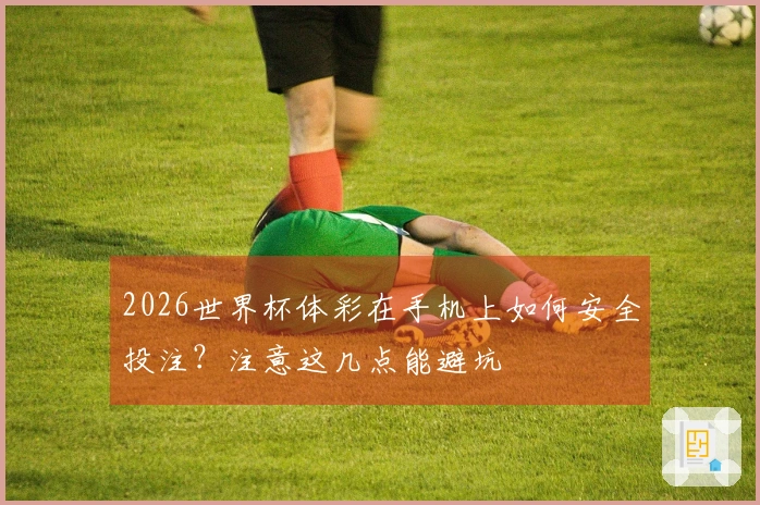 2026世界杯体彩在手机上如何安全投注？注意这几点能避坑
