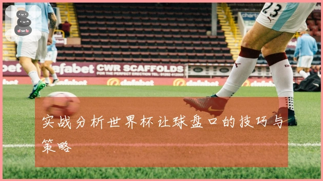 实战分析世界杯让球盘口的技巧与策略