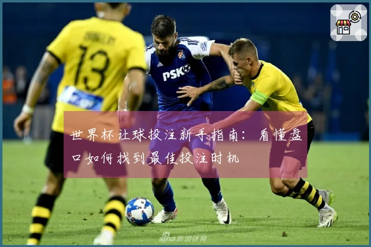 世界杯让球投注新手指南：看懂盘口如何找到最佳投注时机
