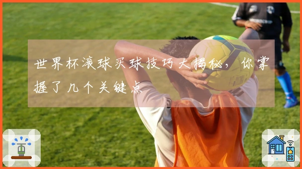 世界杯滚球买球技巧大揭秘，你掌握了几个关键点