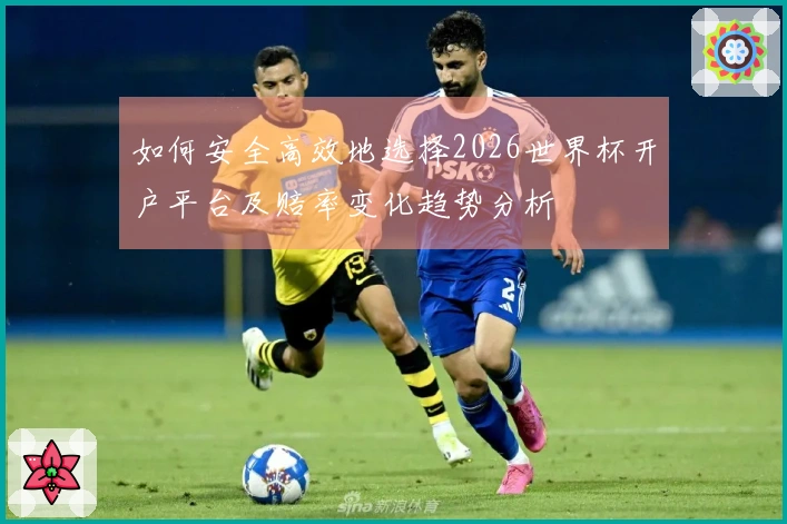 如何安全高效地选择2026世界杯开户平台及赔率变化趋势分析